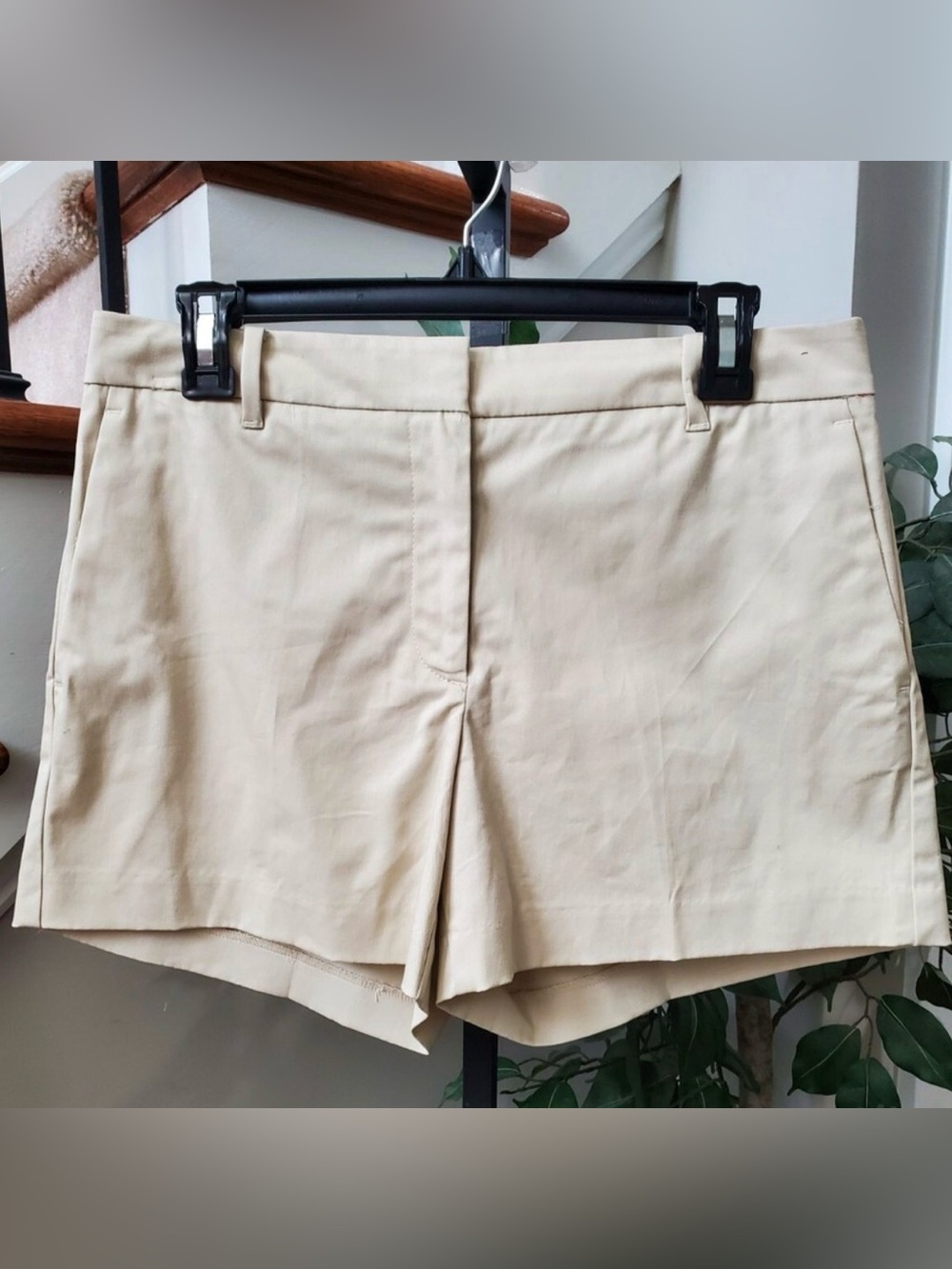 Ann Taylor Beige Tailored Shorts ~ Size 14